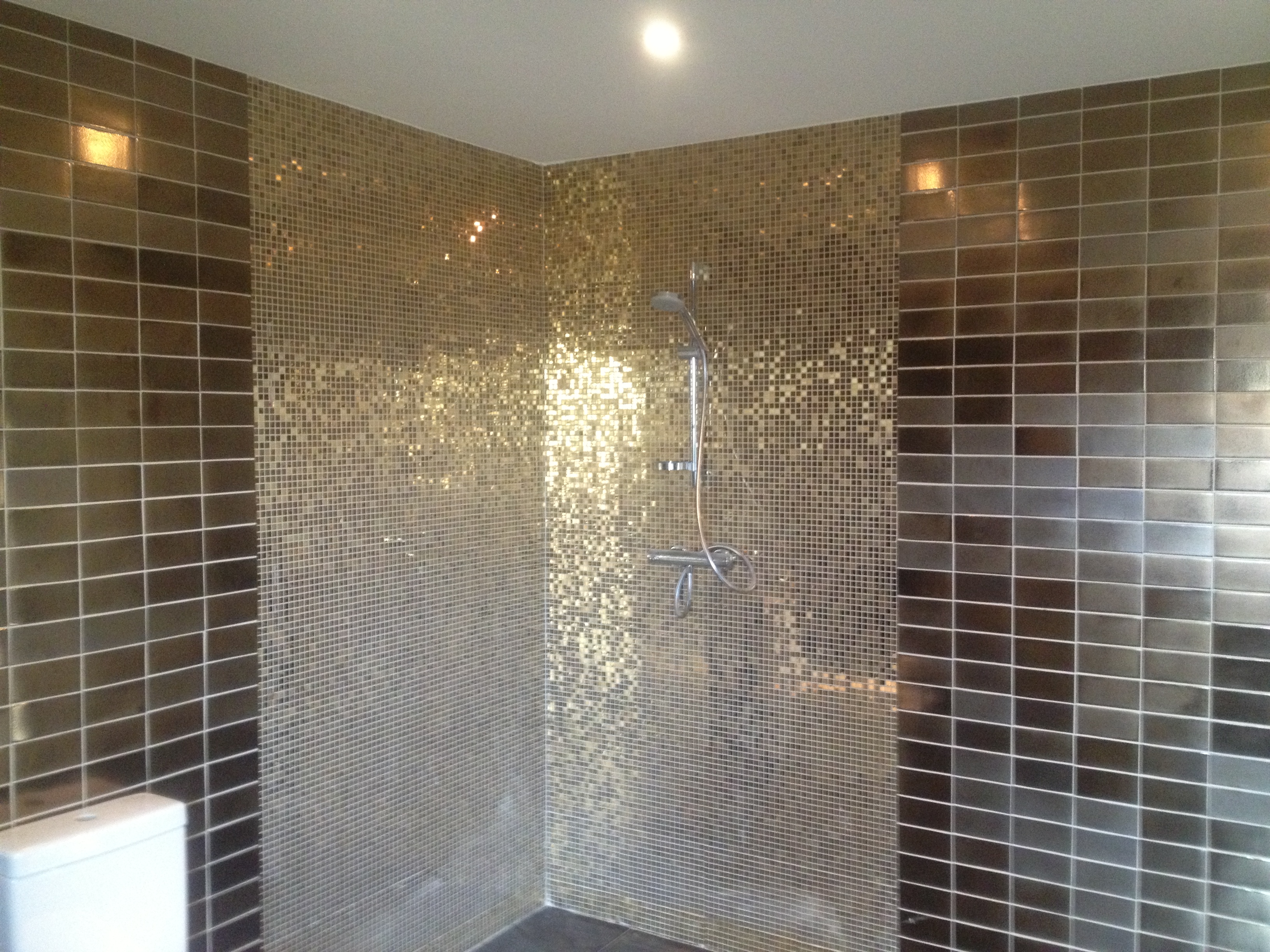 Shower Area